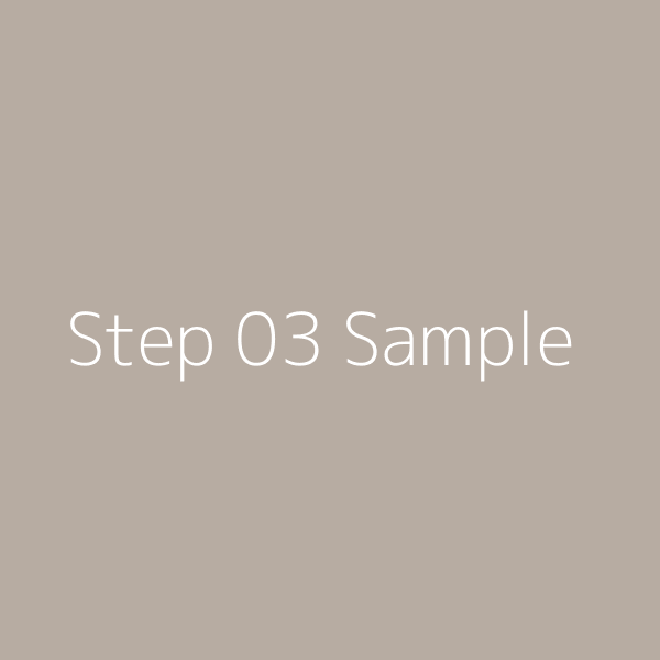 Step 03 Sample