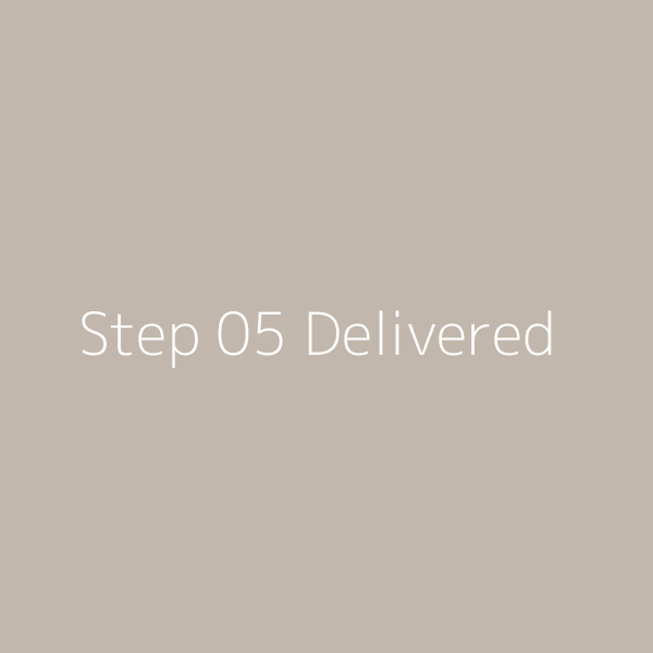 Step 05 Delivered